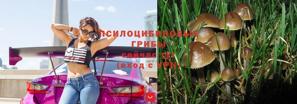 прущие крисы Нягань