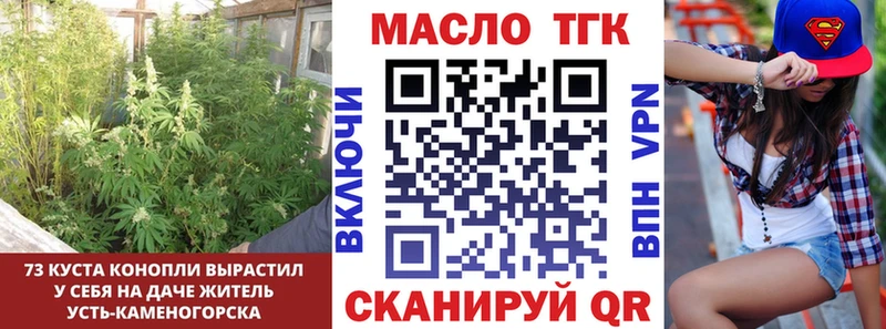 что такое   Белореченск  ТГК концентрат 