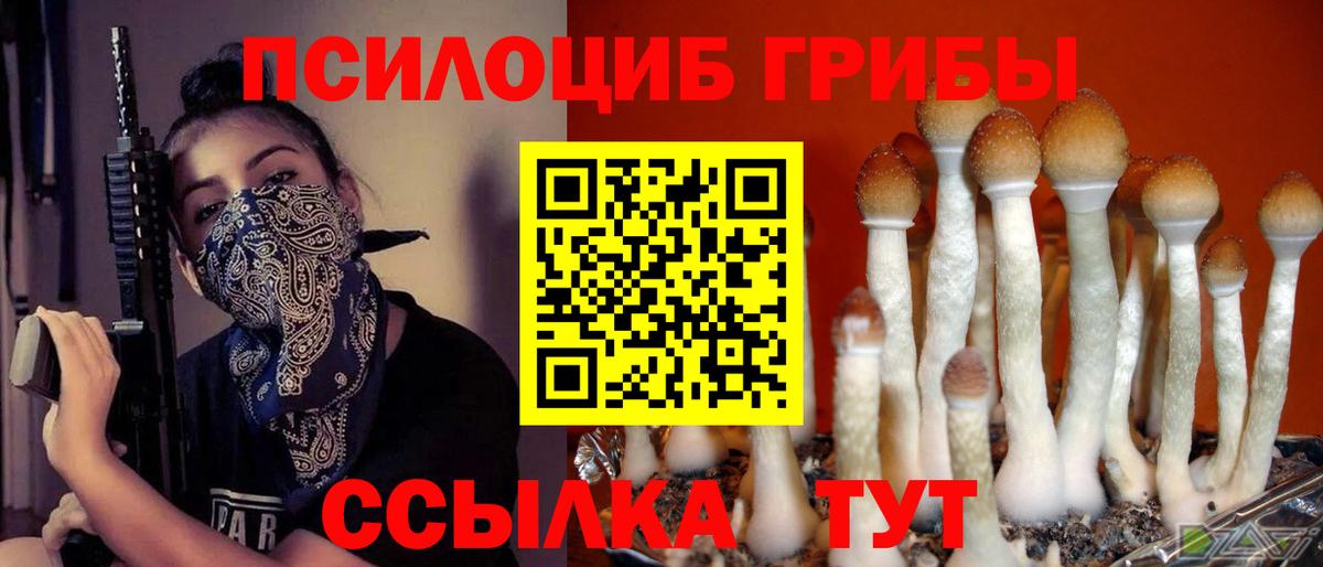 Галлюциногенные грибы Magic Shrooms Белореченск